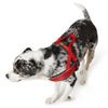 Hunter Racing Norwegian harness, M-L, 60-75 cm, black
