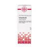Colocynthis D6 DHU Dilution, 20 ml Lösung