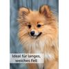 Karlie Shampoo and Conditioner Dog Shampoo 300ml