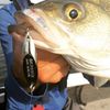acme Kastmaster Fishing Lure, Chrome, 1 oz.