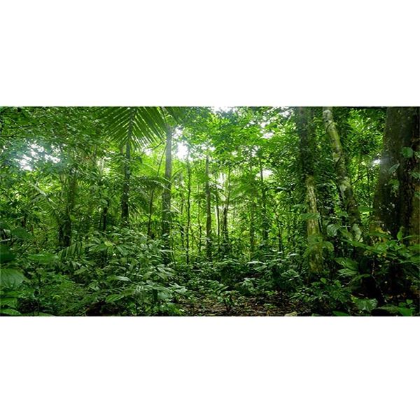 AWERT 48x18 inches Terrarium Background Tropical Aquarium Background Green Huge Tree Rainforest Reptile Habitat Background Durable Polyester Background