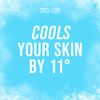 Axe Deodorant Body Spray - Ice Chill - Frozen Lemon & Eucalyptus - Net Wt. 4 OZ (113 g) Per Can - Pack of 3 Cans