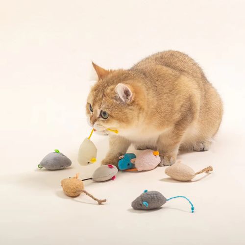 Rouly Cat Toy, Play Alone, Prevent Loneliness, Brush Teeth, Relieve Lack of Exercise (8 Pack)