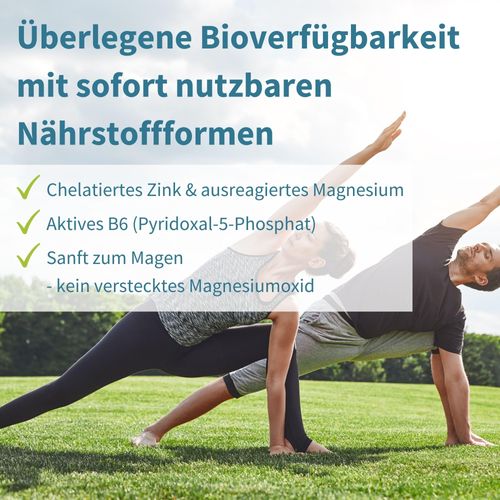 Neurobalance ZMB6 Tablets, High Dose, with Zinc, Vitamin B6 and Magnesium, Vegan, 360 Tablets