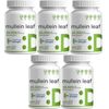Mullein Leaf 20,000mg 5X240 Veggie Caps Non-GMO/Vegan