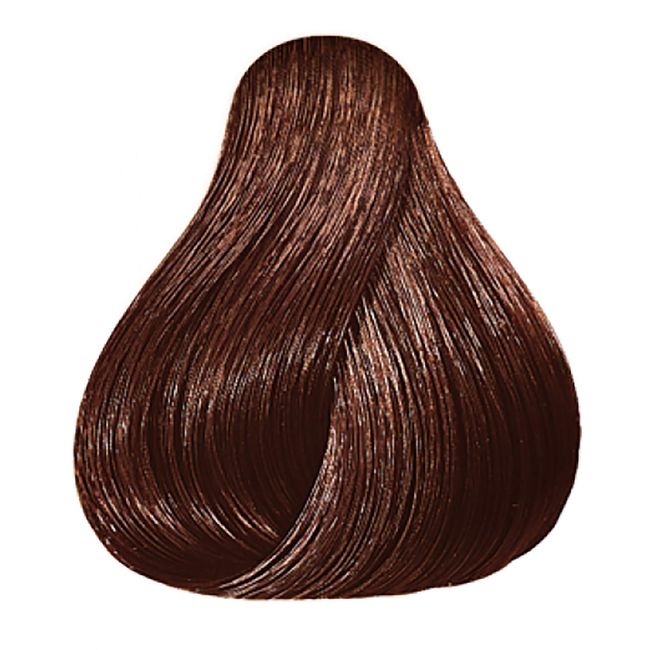 Color Touch 5/73 Chestnut Light Brown Brown 60 ML