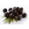 Antioxidant organic - RASPBERRY KETONES – ACAI BERRY COMBO - raspberry ketone 
