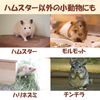 HAMILO Hamster Automatic Feeder, Bait, Cage, Breeding, Chinchilla, Set of 2