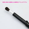 Shizada Seishindo PS-01 Makeup Brush, Slide, Eyeshadow Brush, Made in Japan, Black