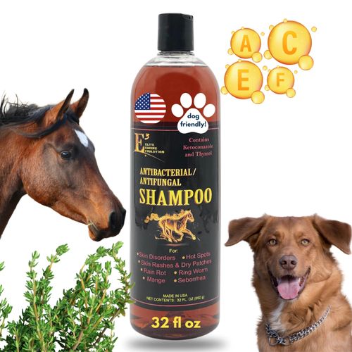 E3 Antifungal Ketoconazole and Thymol Skincare Shampoo for Horses and Dogs - Relieves Itching, Irritation, and Skin Infections - Fortified with Nano Vitamins A, C, E & F (32 oz)