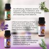 Set Bliss Organic Essential Oils - Rosemary | Sage | Lavender