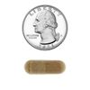 Spring Valley Brain Performance 60 Ct | Memory Support Veggie Capsules