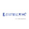 Ebisu Premium Care Toothbrush, 6 Rows, Regular, Set of 3 (Assorted Colors)