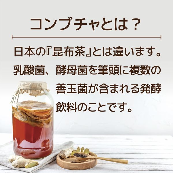 ヒルズラボ コンブチャ HEALSLAB KOMBUCHA ブルーベリー味（5g×15 包) 微炭酸 韓国製 乳酸菌 酵母菌 発酵 置き換えダイエット