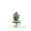 Pretty Valley Home Cactus Ceramic Diffuser Combo (Silk Blossom) Scent 200ml