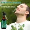 Mullein Leaf Liquid Drops,Mullein Drops,Mullein Leaf Extract Drops,Mullein Herbal Supplements Drops for Fast Absorption 60ml(2pcs)