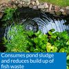 API POND-ZYME SLUDGE DESTROYER Pond Water Cleaner With Barley 237 ml Container