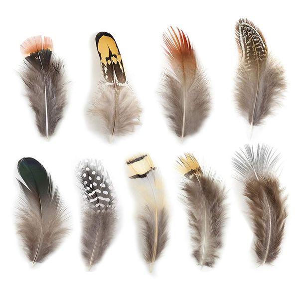 180pcs 9 Styled Natural Feathers Assorted Mixed Feathers for Jewelry and Dream Catcher Crafts