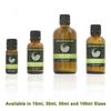 Litsea Cubeba 100% Pure Essential Aromatherapy Oil 100ml
