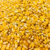 Whole Kernel Corn Animal Wildlife Feed Arts & Crafts 10 Lbs