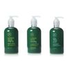 Paul Mitchell Tea Tree Body Wash Shampoo Conditioner Pump Bottle Set