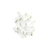 PTC RJ45 Cat5e Solid Internet DSL Ethernet Network Cable with Tool & Connectors