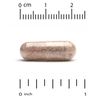 Grape Seed Phytosome, 300 mg, 60 Veggie Capsules