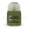 Games Workshop Citadel Colour - Air: Deathworld Forest (24ml)