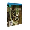 Madagaskar - Ein geheimnisvolles Wunder der Natur [Blu-ray]