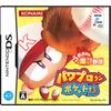 パワプロクンポケット13