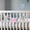Pundus Bunting