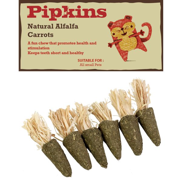 Pipkins 6 x Edible Alfalfa Carrots