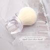 Apple Dust Clear Brush Beauty Brush(289)
