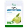 【リプサ公式】 グァバ 約3か月分 C-404 葉酸