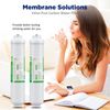 4x Inline T33 Post Carbon Water Filter Cartridges 1/4" Quick Connect Replacement