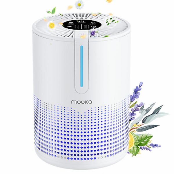 Home Air Purifier for Large Room Allergies Pet, Smoke, Double H13 HEPA Filters