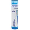 Boiron Magnesia Phosphorica 9C for Spasmodic Pain in The Abdomen - 80 Pellets