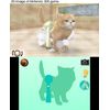 Nintendo Selects Nintendogs + Cats (Toy Poodle + New Friends)