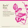 Bach Original Flower Remedies, Elm - Be Efficient - Natural Homeopathic Flower Essence for Emotional Balance - Vegan, Gluten Free, Sugar Free - 20mL Dropper