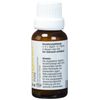 Ingwer Pure Ginger Drops, 20 ml