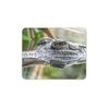 Crocodile Mouse Mat Pad - Alligator Croc Reptile Wild Computer #12341