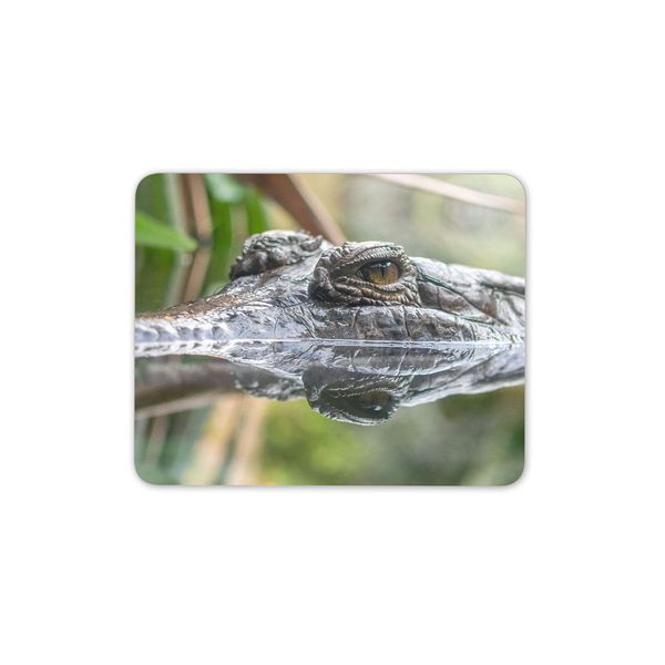 Crocodile Mouse Mat Pad - Alligator Croc Reptile Wild Computer #12341