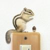 Wall Sticker Animal Life Color "Maxima Squirrel (Stomach"