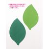 Display Cards, 2 Colors (Dark Green, Bright Green), 50 Each