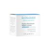 Hydra Maximum Night Cream (1.7 fl oz) - Intensive Night Cream for Dehydrated Skin - Provides Moisture Overnight - Hyaluronic Acid, Vitamin E - Face Moisturizer - Face Cream - Skin Care - Dr. Schrammek