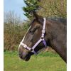 Rhinegold Nylon Headcollar - Cob - Lilac