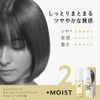 Liese Nuance Styling Oil + Moist