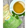 Catnip Tea by Palm Beach Herbals  | 30ct, Caffeine-Free