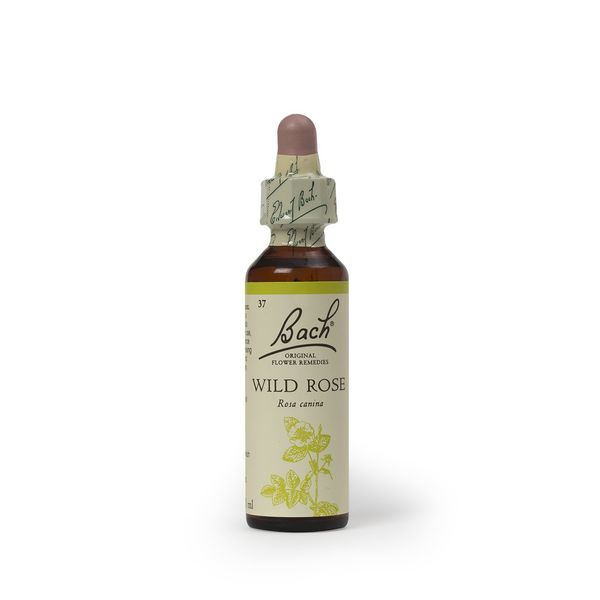 Bach Original Flower Remedy Wild Rose 20 ml