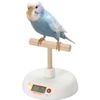 Marukan MB-330 Small Bird Scale